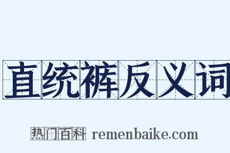 直统裤反义词是什么意思的图片
